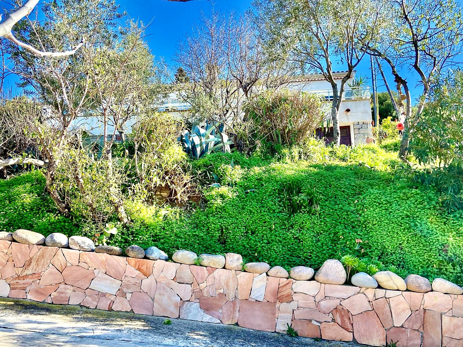 Jardin de Villa Montalbo à Cargèse