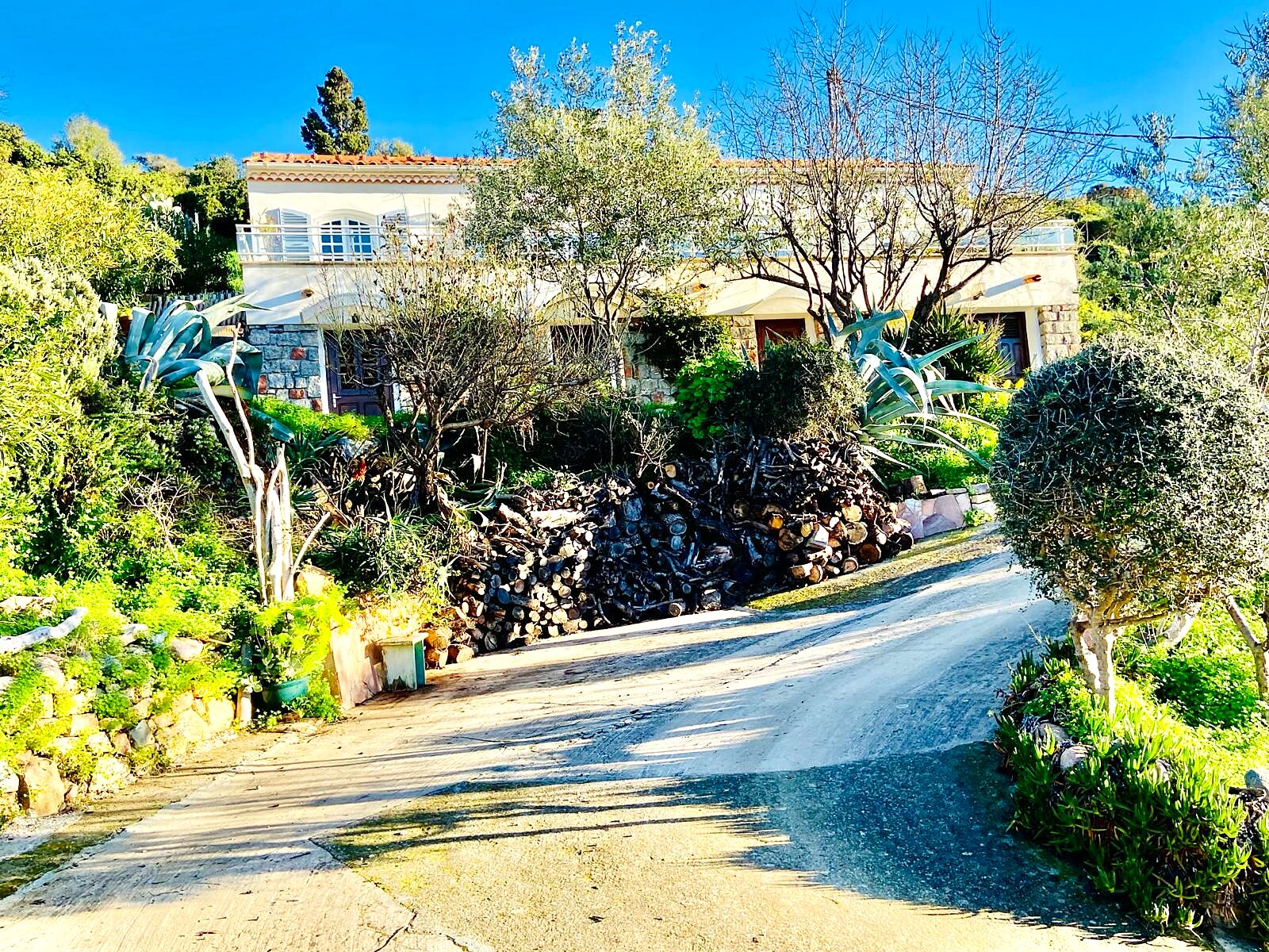 Accès et jardin de Villa Montalbo